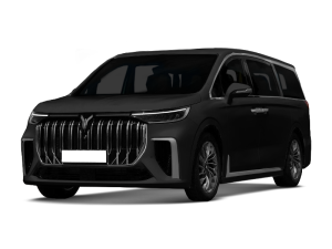 Эва-коврики на Voyah Dream 2021-